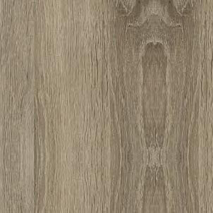 Sonoma truffle oak
