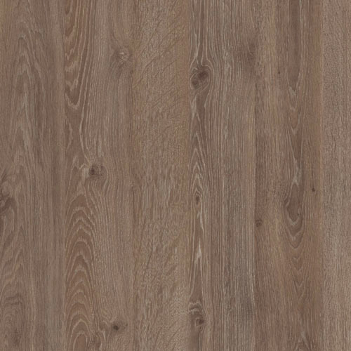 Truffle oak