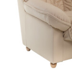 Ādas krēsls PAK1301 - Mīkstās mēbeles