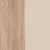 Sonoma oak / Satin