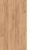 Gold craft oak / Nimfeja alba